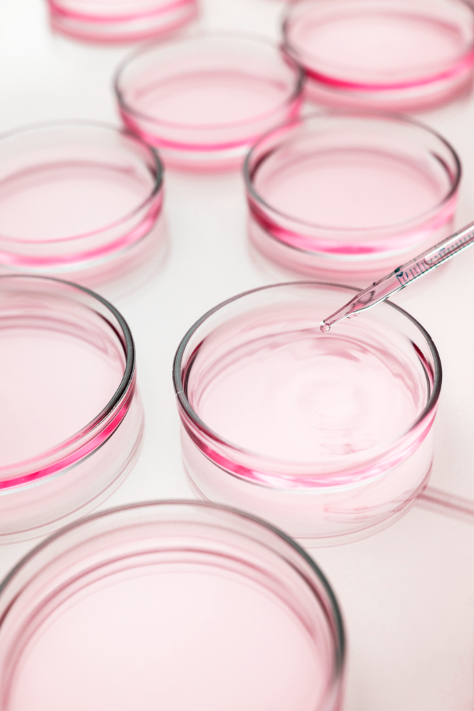 Sử dụng exosomes của tế bào gốc/tế bào nền trung mô cho các liệu pháp điều tiết miễn dịch và tái tạo da